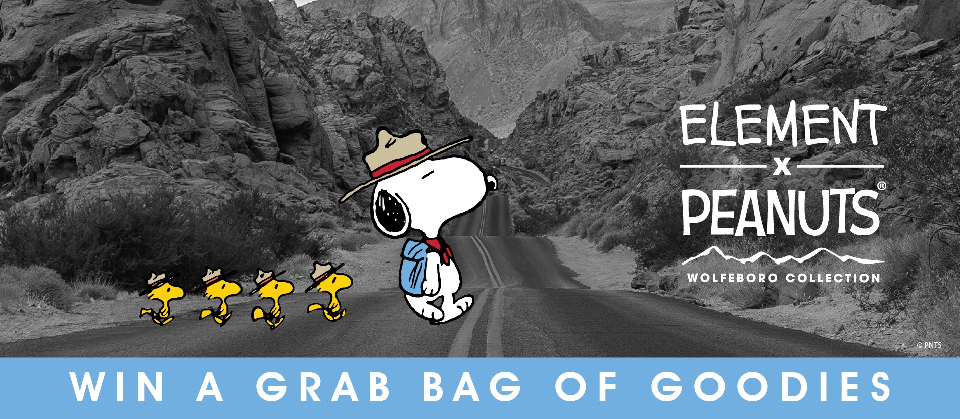 Peanuts x Element Collab Sweepstakes