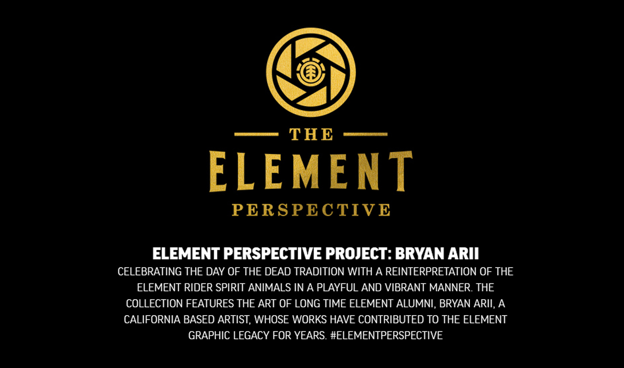 ELEMENT PERSPECTIVE PROJECT: BRYAN ARII