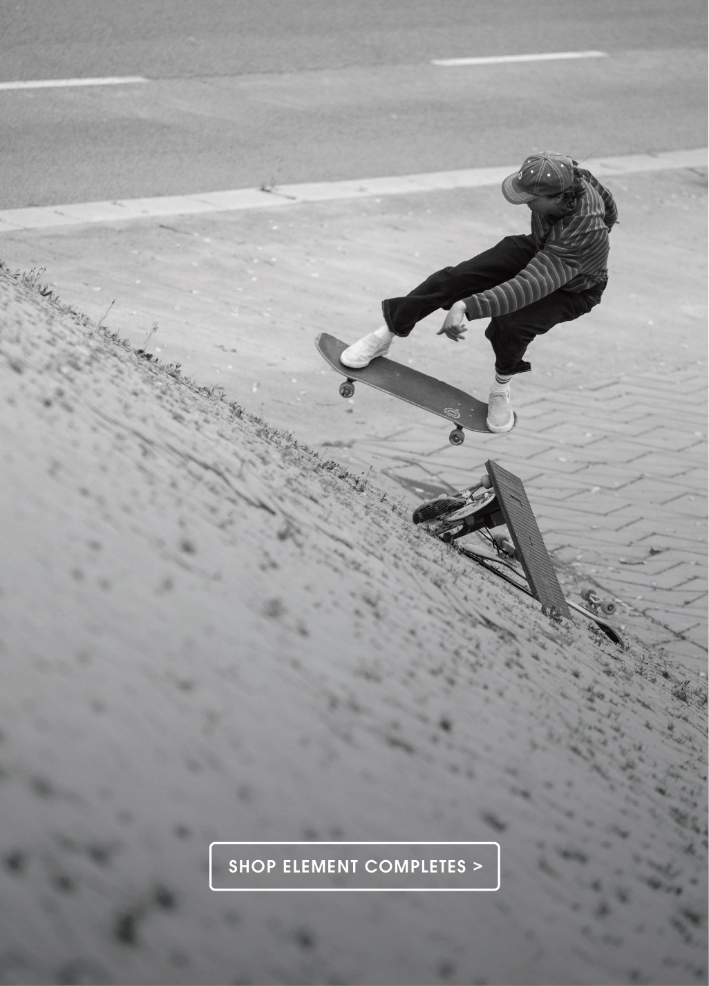 NEW ELEMENT COMPLETE SKATEBOARDS