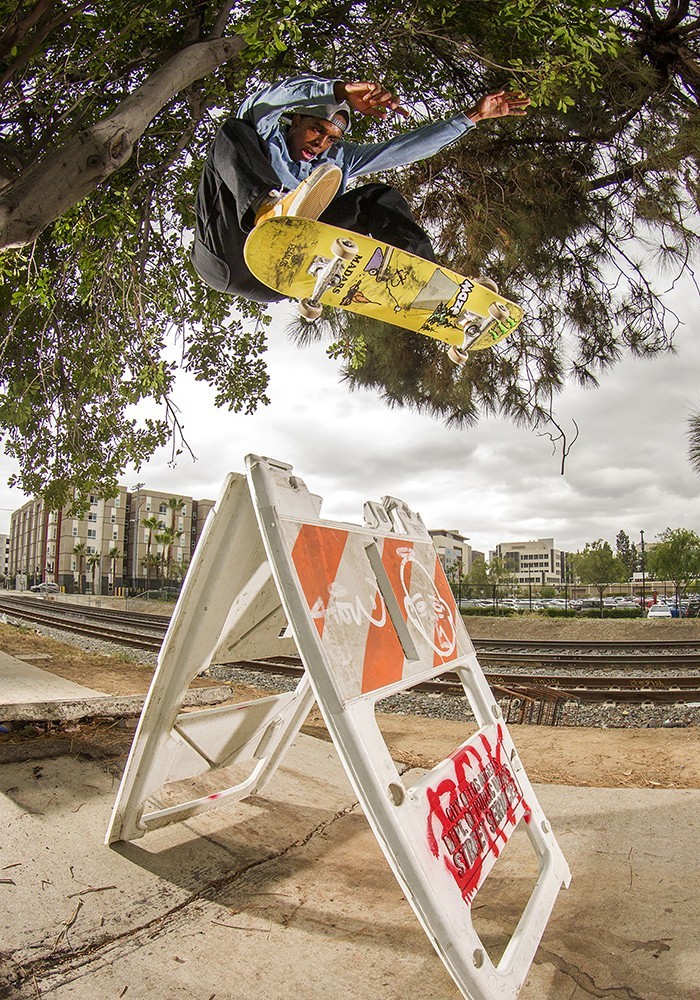 Element Skate