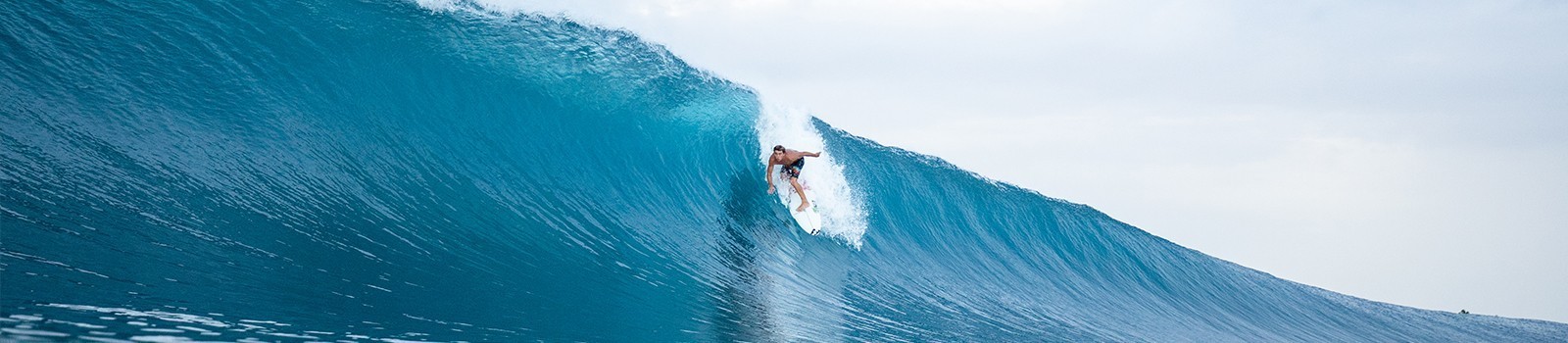 BOARDSHORTS