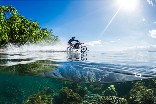 dc robbie maddison