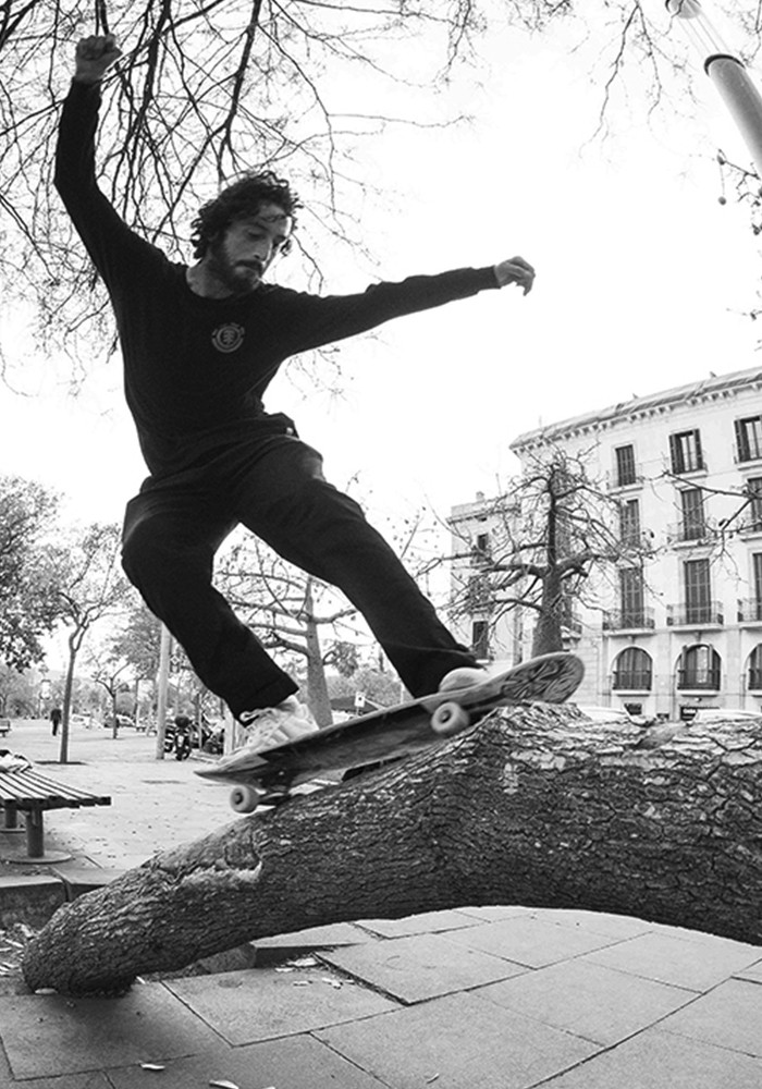Element Skateboarding The Arts Nature Made To Endure
