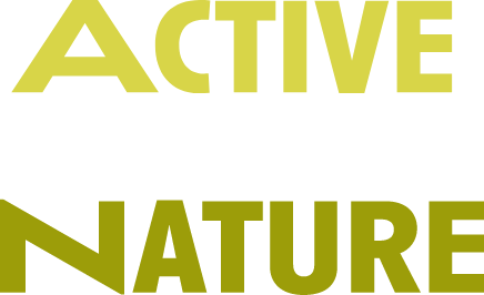 us/2023/Roxy-Active-By-Nature-Logo