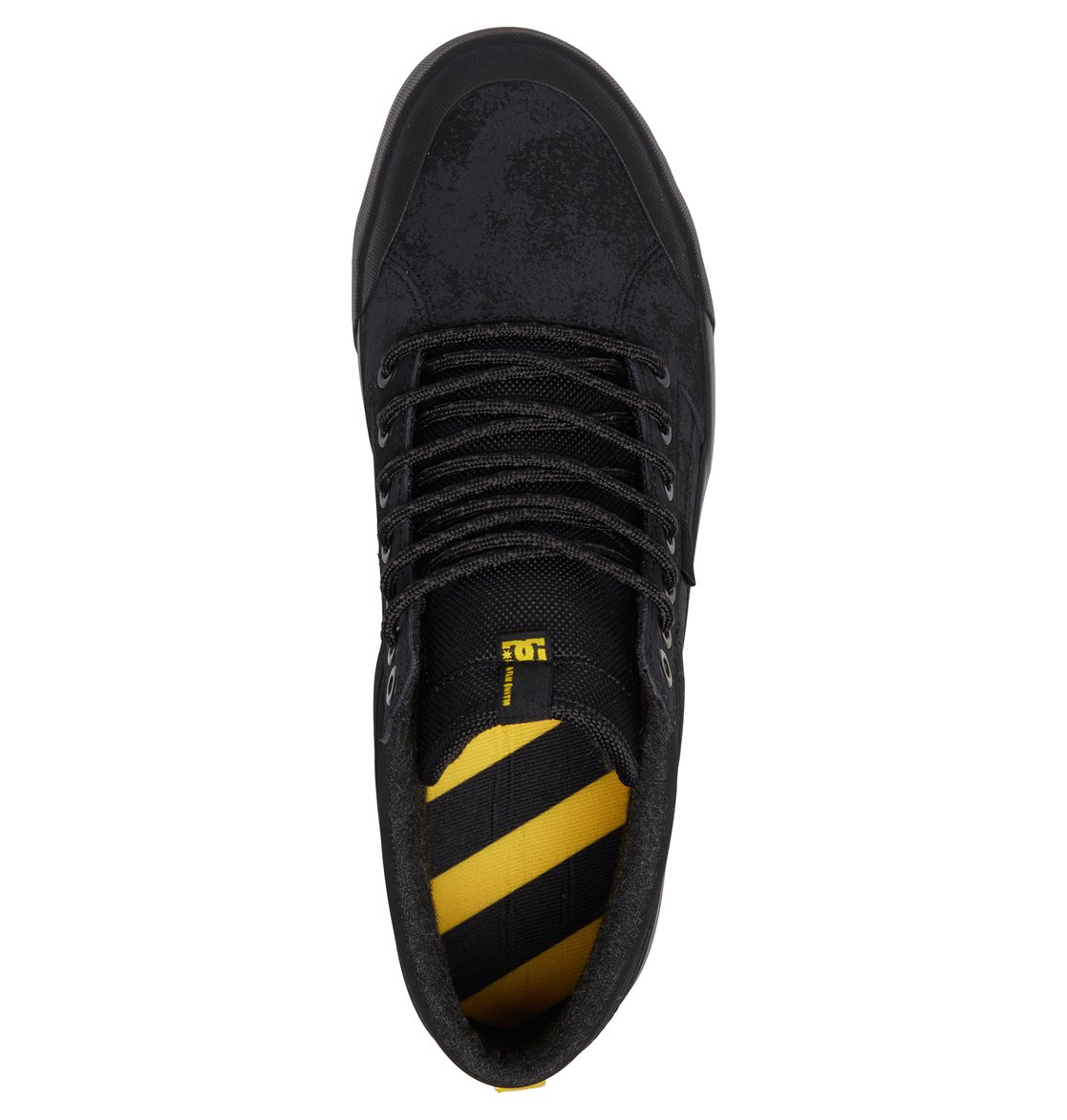 dc evan smith winter