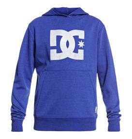 dcshoes, Snowstar - Sudadera técnica con capucha, SURF THE WEB (prm0) Snowstar - Technical Hoodie EDBFT03144