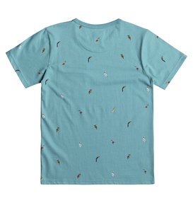 dcshoes, 2Can - T Shirt col rond pour Garçon 8-16 ans, MAUI BLUE TOUCAN (bha1) 2Can - T-Shirt for Boys 8-16 EDBKT03091