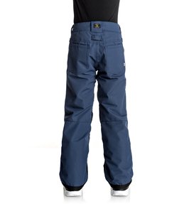 dcshoes, Сноубордические штаны Relay, INSIGNIA BLUE (bsn0) Relay - Snow Pants for Boys 8-16 EDBTP03005