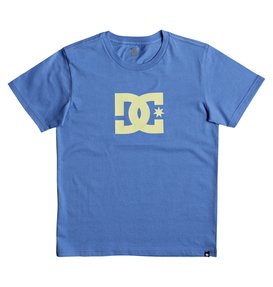 dcshoes, Star - T Shirt col rond pour Garçon 8-16 ans, CAMPANULA/ LEMON MERINGUE (xbby) Star - T-Shirt for Boys 8-16 EDBZT03227