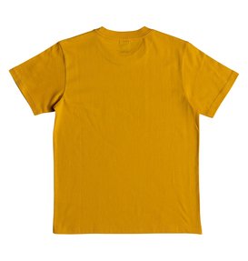 dcshoes, Star - T-Shirt für Jungen 8-16, GOLDEN ROD (ykk0) Star - T-Shirt for Boys 8-16 EDBZT03279