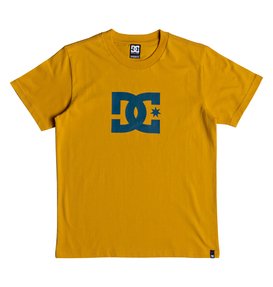 dcshoes, Star - T-Shirt für Jungen 8-16, GOLDEN ROD (ykk0) Star - T-Shirt for Boys 8-16 EDBZT03279