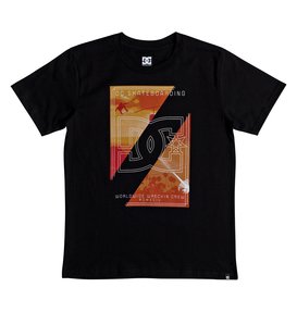 dcshoes, Dany Palm - T-Shirt for Boys 8-16, BLACK (kvj0) Dany Palm - T-Shirt for Boys 8-16 EDBZT03286