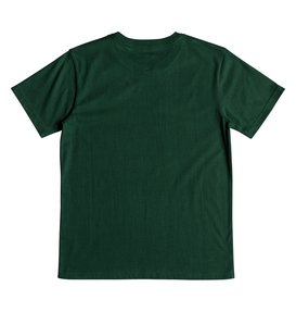dcshoes, Volume - T-Shirt für Jungen 8-16, HUNTER GREEN (grw0) Volume - T-Shirt for Boys 8-16 EDBZT03293
