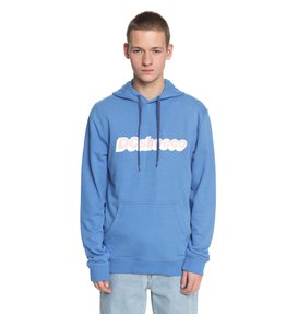 dcshoes, Artifunction - Sweat à capuche pour Homme, CAMPUNULA (blv0) Artifunction - Hoodie for Men EDYSF03151