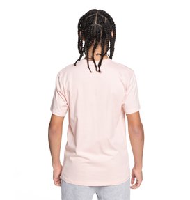 dcshoes, Artifunction - T Shirt col rond pour Homme, ENGLISH ROSE (mdj0) Artifunction - T-Shirt for Men EDYZT03743