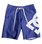 Lanai 17" - Board Shorts  EDBBS03029
