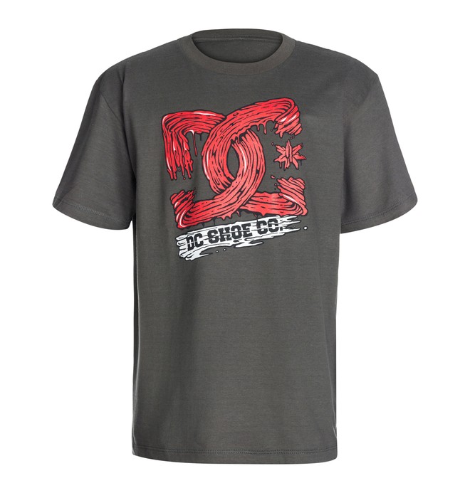 dcshoes, PAINT STROKES TEE, Dark Shadow (krp0) 0 PAINT STROKES TEE 50464080 DC Shoes