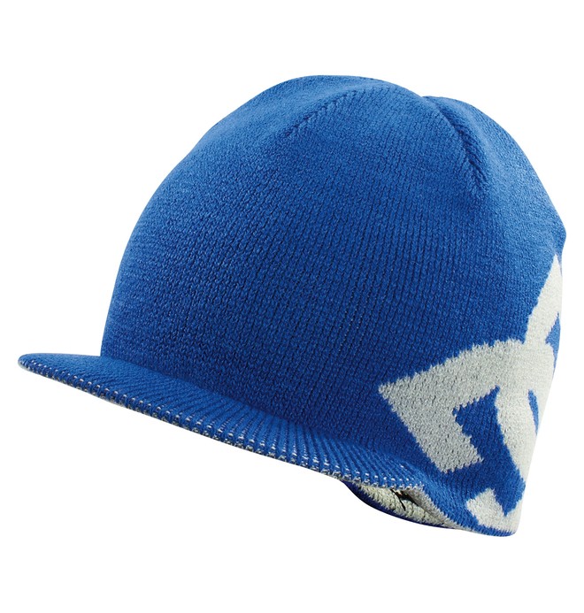 dcshoes, CASCATA 12, OLYMPIAN BLUE/PLATINUM (oyn) 0 CASCATA 12 54310118 DC Shoes