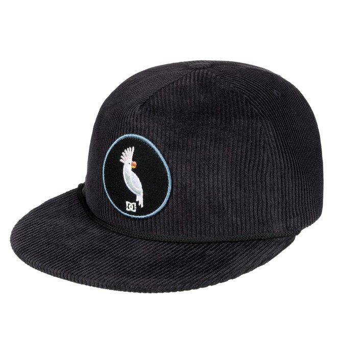 dcshoes, Birds Of Empire Snapback Hat, BLACK (kvj0) 0 Birds Of Empire Snapback Hat ADYHA03566 DC Shoes