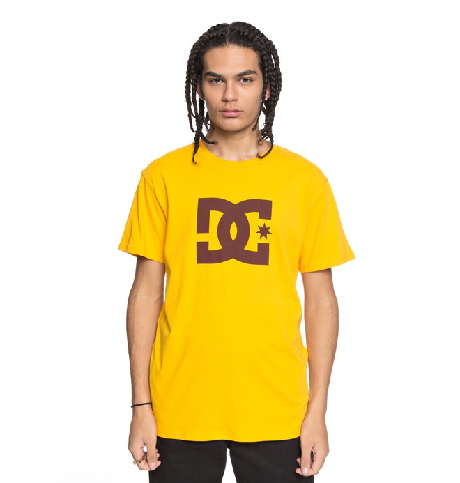 dcshoes, DC Star Tee, OLD GOLD (ykf0) 0 DC Star Tee Yellow ADYZT03119 DC Shoes