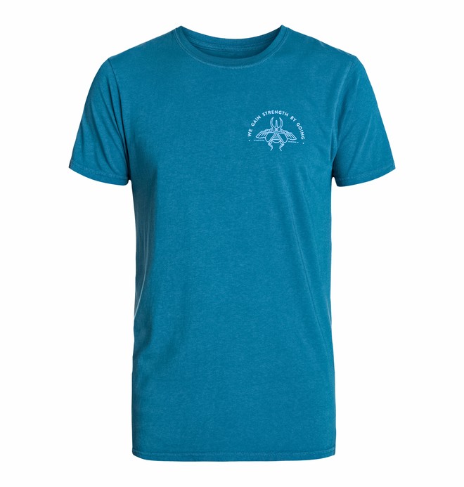 dcshoes, Men's Mikey Beetle Short Sleeve Screen Tee, DARK TEAL (bqf0) 0 Men's Mikey Beetle Short Sleeve Screen Tee ADYZT03151 DC Shoes