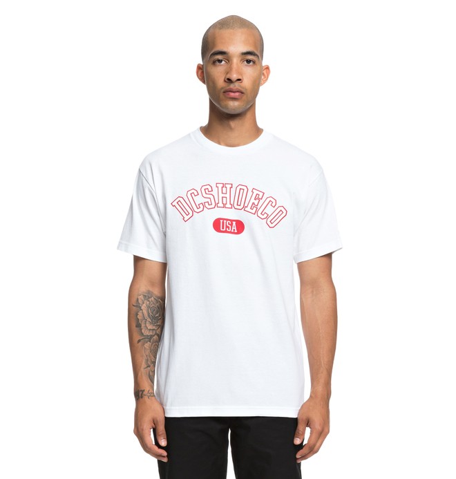 dcshoes, Arch Tee, WHITE (wbb0) 0 Arch Tee White ADYZT04356 DC Shoes
