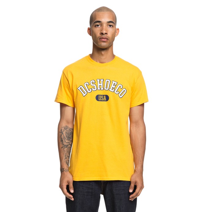 dcshoes, Arch Tee, GOLDEN ROD (ykk0) 0 Arch Tee Yellow ADYZT04356 DC Shoes