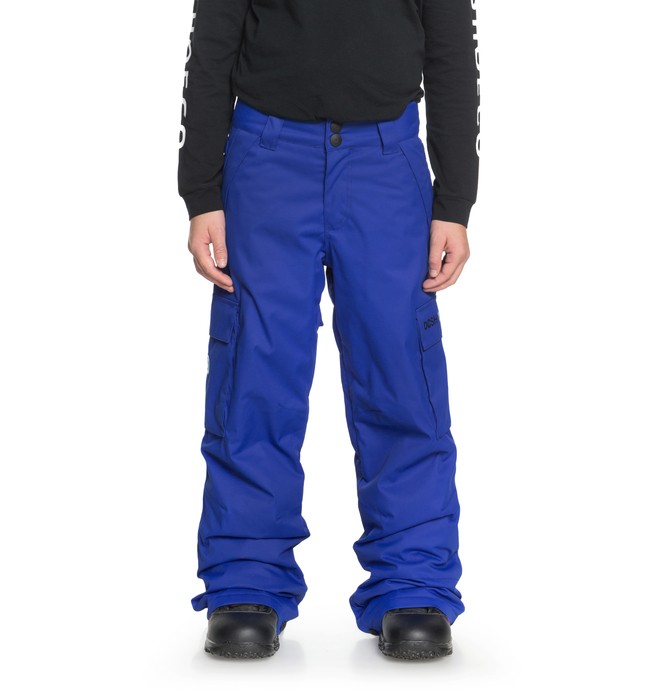 dcshoes, Banshee - Snowboardbroek voor Jongens 8-16, SURF THE WEB (prm0) 0 Banshee - Snowboardbroek voor Jongens 8-16 Purple EDBTP03009 DC Shoes