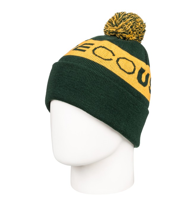 dcshoes, Chester Beanie, PINE GROVE (gzf0) 0 Chester Beanie Green EDYHA03079 DC Shoes
