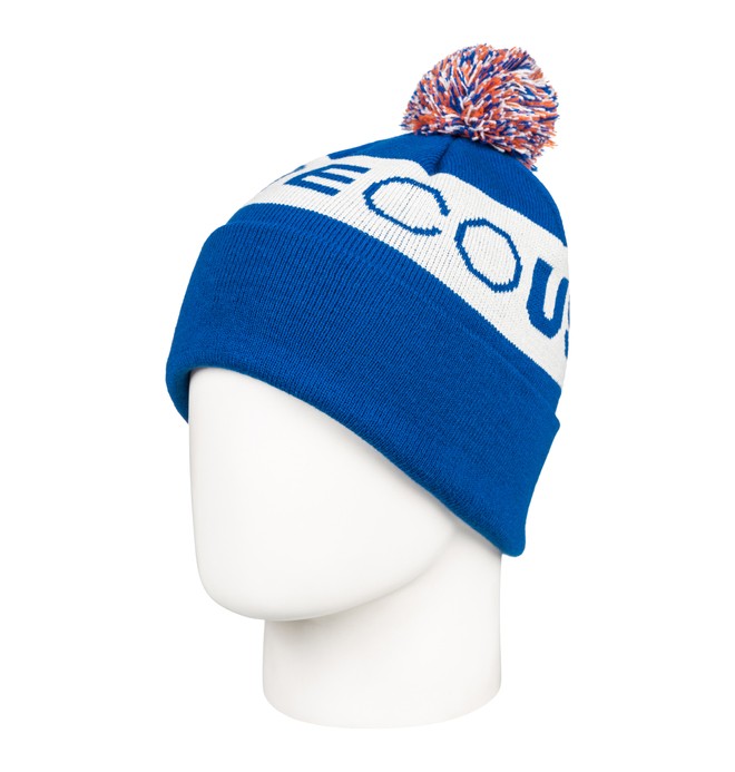 dcshoes, Chester Beanie, SURF THE WEB (prm0) 0 Chester Beanie Purple EDYHA03079 DC Shoes