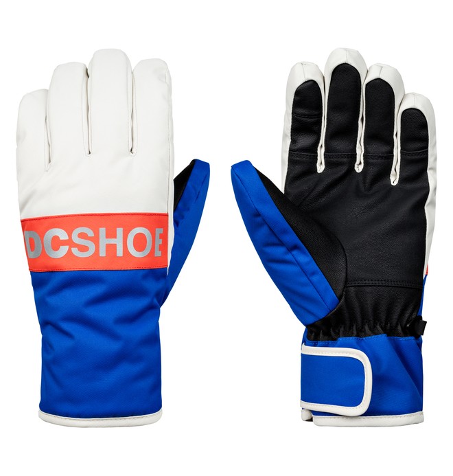 dcshoes, Franchise Snowboard/Ski Gloves, SURF THE WEB (prm0) 0 Franchise Snowboard/Ski Gloves Purple EDYHN03036 DC Shoes