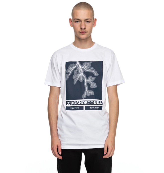 Stop Activities - T-Shirt for Men EDYZT03703 0 Stop Activities - Camiseta para Hombre EDYZT03703 DC Shoes