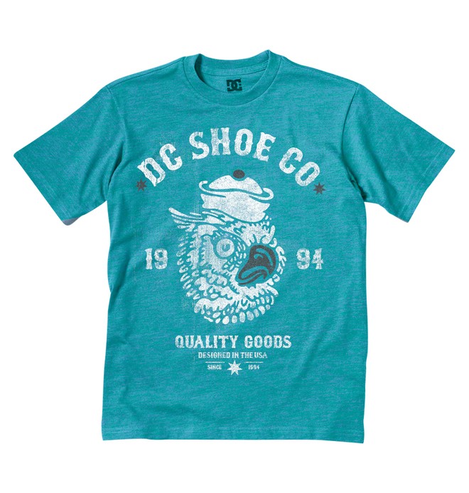 dcshoes, Kid's Owl Time Tee, AQUAMARINE (aqr) 0 Kid's Owl Time Tee K1200083 DC Shoes