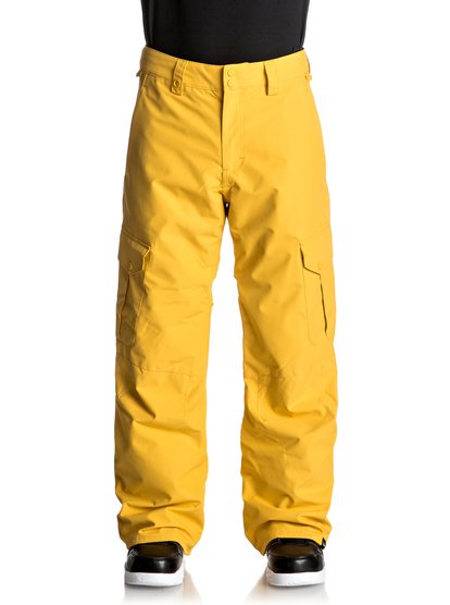 quiksilver, Сноубордические штаны Porter, SOLAR POWER (yze0) Porter - Snow Pants EQYTP03062