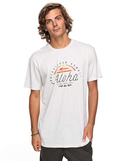 quiksilver, Футболка Heather King St, SNOW WHITE HEATHER (wbkh) Heather King St - T-Shirt EQYZT04741