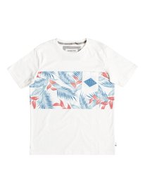 quiksilver, Футболка Faded Time, SNOW WHITE (wbk0) Faded Time - Pocket T-Shirt EQBKT03124