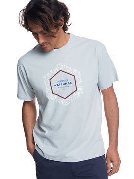 quiksilver, Waterman Bamboo Fields T-Shirt, PIGEON (she0) BAMBOO FIELDS QMT0 AQMZT03303