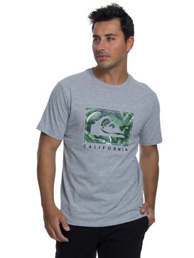 quiksilver, Camiseta Manga Curta Regular Fit City Pacific Quiksilver, CACTUS GREEN* (gre) QK CAM BAS M/C CITY PACIFIC BR61114430