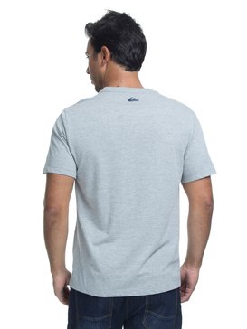 quiksilver, Camiseta Manga Curta Regular Fit Revenge Quiksilver, CACTUS GREEN* (gre) QK CAM BAS M/C REVENGE BR61114432