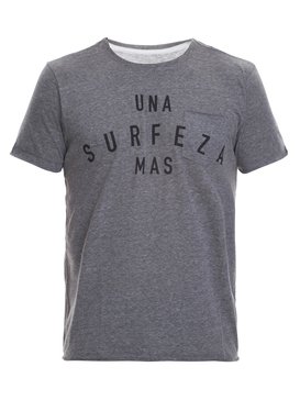 quiksilver, Camiseta Masculina Manga Curta Quiksilver, MESCLA CLARO (mec) QK CAM ESPECIAL M/C SURFEZA BR61142728