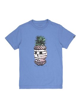 quiksilver, Camiseta Juvenil Estampa Frontal Quiksilver, STAR BLACK (str) QK CAM BAS M/C JUV HOT PINEAPPLE BR68112044