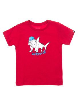 quiksilver, Camiseta Juvenil Manga Curta Estampa Frontal Quiksilver, CHILLI BLACK* (rrdo) QK CAM BAS M/C KIDS BUTCHER BOY BR68112054