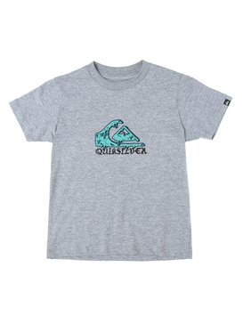 quiksilver, Camiseta Manga Curta Infantil Peaks Quiksilver, CACTUS GREEN* (gre) QK CAM BAS M/C KIDS PEAKS BR68112095