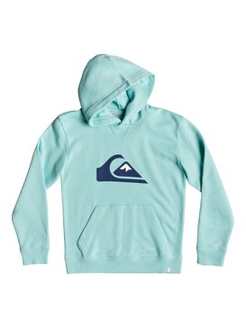 Big Logo - Hoodie for Boys 8-16  EQBFT03493