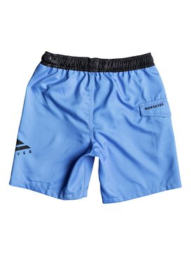 Lava Logo 15" - Swim Shorts  EQBJV03137