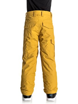 quiksilver, Сноубордические штаны Porter, MUSTARD GOLD (ylm0) Porter - Snow Pants EQBTP03012