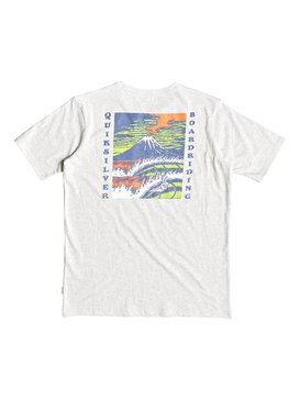 quiksilver, Tropic Eruption Heather - T-Shirt für Jungen 8-16, SNOW WHITE HEATHER (wbkh) Tropic Eruption Heather - T-Shirt for Boys 8-16 EQBZT03766