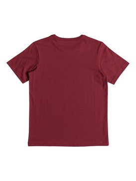 quiksilver, Living On The Edge - Camiseta para Chicos 8-16, GARNET (rqk0) Living On The Edge - T-Shirt for Boys 8-16 EQBZT03773