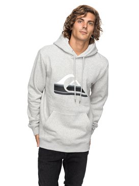 Big Logo - Hoodie  EQYFT03797