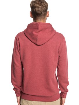 Big Logo - Hoodie for Men  EQYFT03922